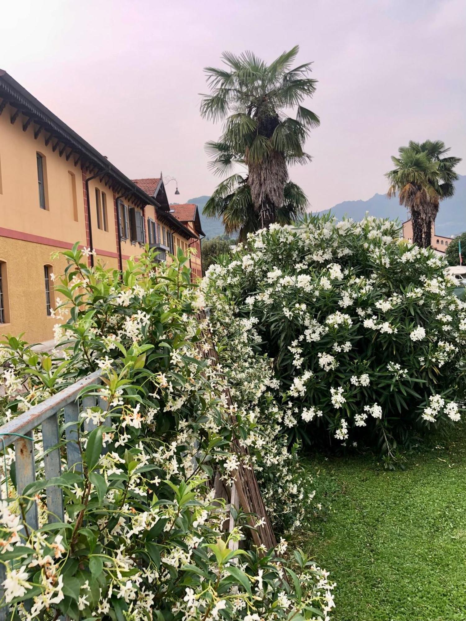 Roggia Maestra B&B Schio Eksteriør bilde